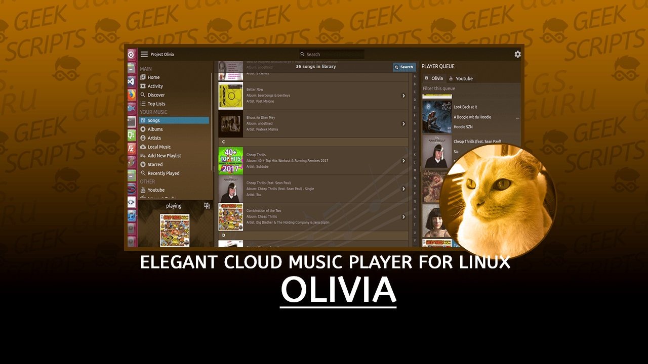 Olivia Elegant Cloud Music Player for Linux Desktop