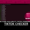 TikTok Username Checker Returns Availability TikTok username