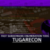 TugaRecon Fast Subdomains Enumeration Tool for Penetration Testers