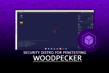 Woodpecker Custom Security Distro Remote Penetesting