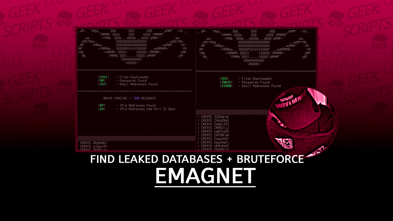 EMAGNET Find Leaked Databases and Bruteforce