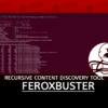 FeroxBuster Recursive Content Discovery Tool