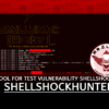 ShellShockHunter Tool Test Vulnerability Shellshock