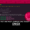 dnsX Fast and Multi-Purpose DNS Toolkit