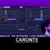 Caronte Analyze the Network Flow During CTF Competitions