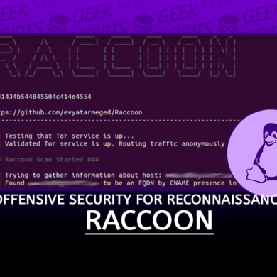 Raccoon Offensive Security Tool for Reconnaissance