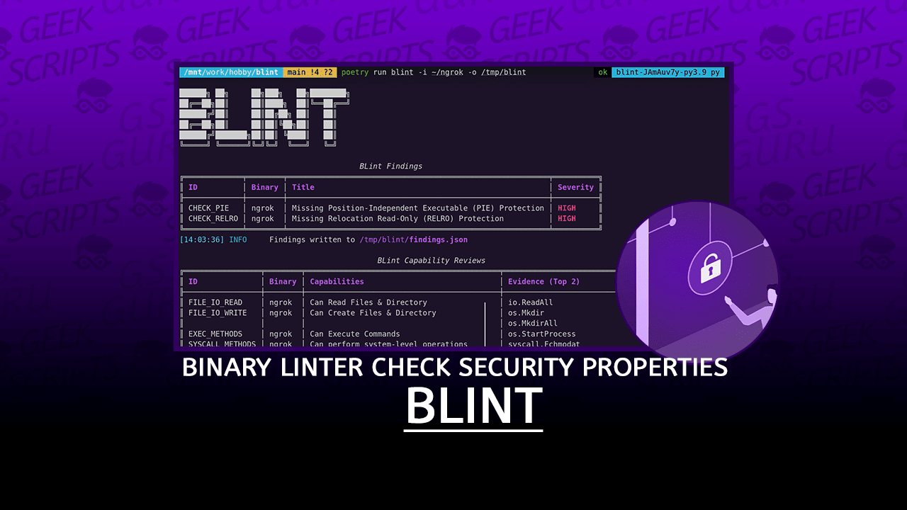 BLint Binary Linter to Check the Security Properties