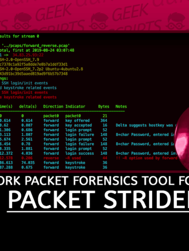 Packet Strider: A Network Packet Forensics Tool for SSH