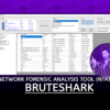 BruteShark A Network Forensic Analysis Tool (NFAT)