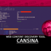Cansina: Web Content Discovery Tool