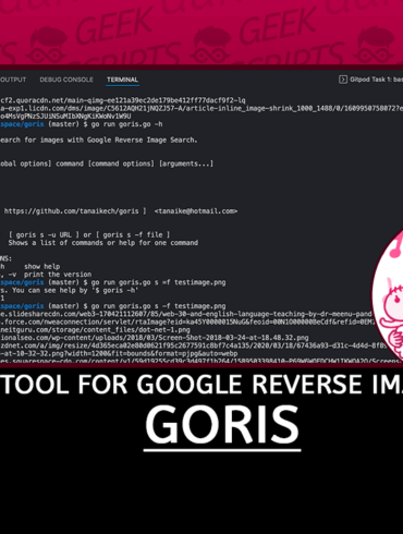 Goris CLI Tool for Google Reverse Image