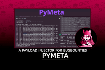 PyMeta Search for Files of a Domain to Download them and Extract Metadata