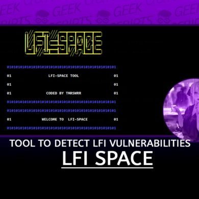 LFI Space Efficient Tool to Detect LFI Vulnerabilities