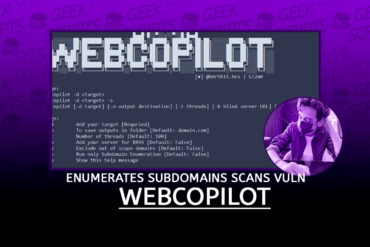 WebCopilot Enumerates Subdomains and Scans for Vulnerabilities